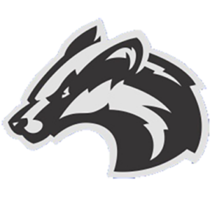 High School Practice logo